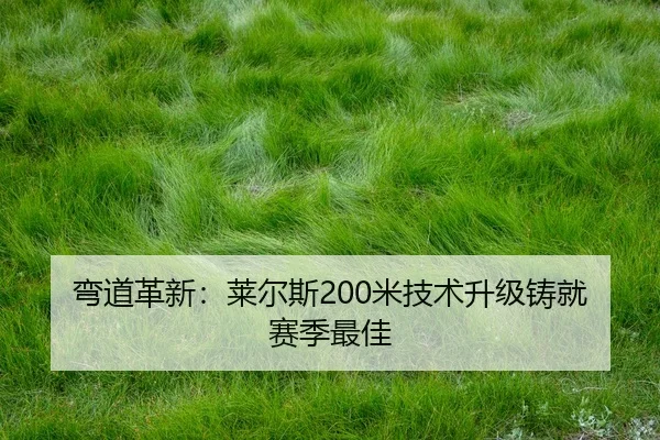 wan-dao-ge-xin-lai-er-si-mi-ji-shu-sheng-ji-zhu-jiu-sai-ji-zui-jia-2-322.jpg