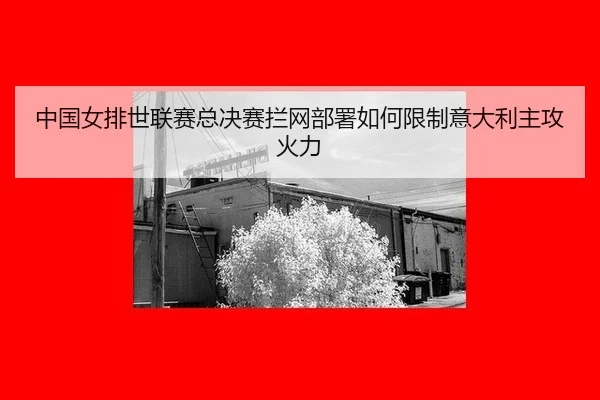 中国女排世联赛总决赛拦网部署如何限制意大利主攻火力