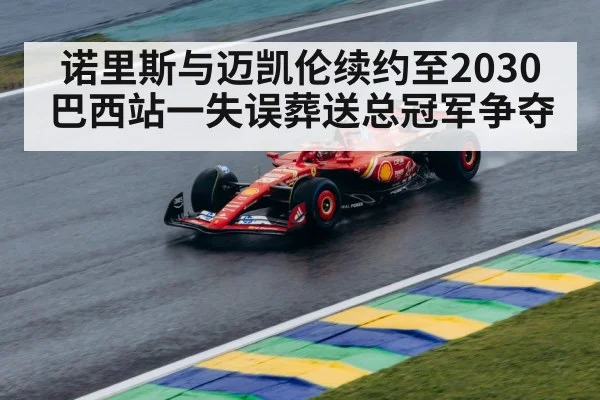 Brazilian Grand Prix rain race